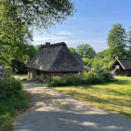 Heidehof Oberhaverbeck Villa Bispingen Luaran gambar